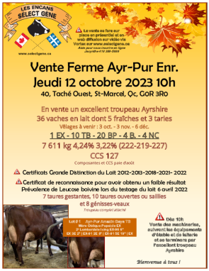 Cliquez sur l'image du catalogue pour le consulter
